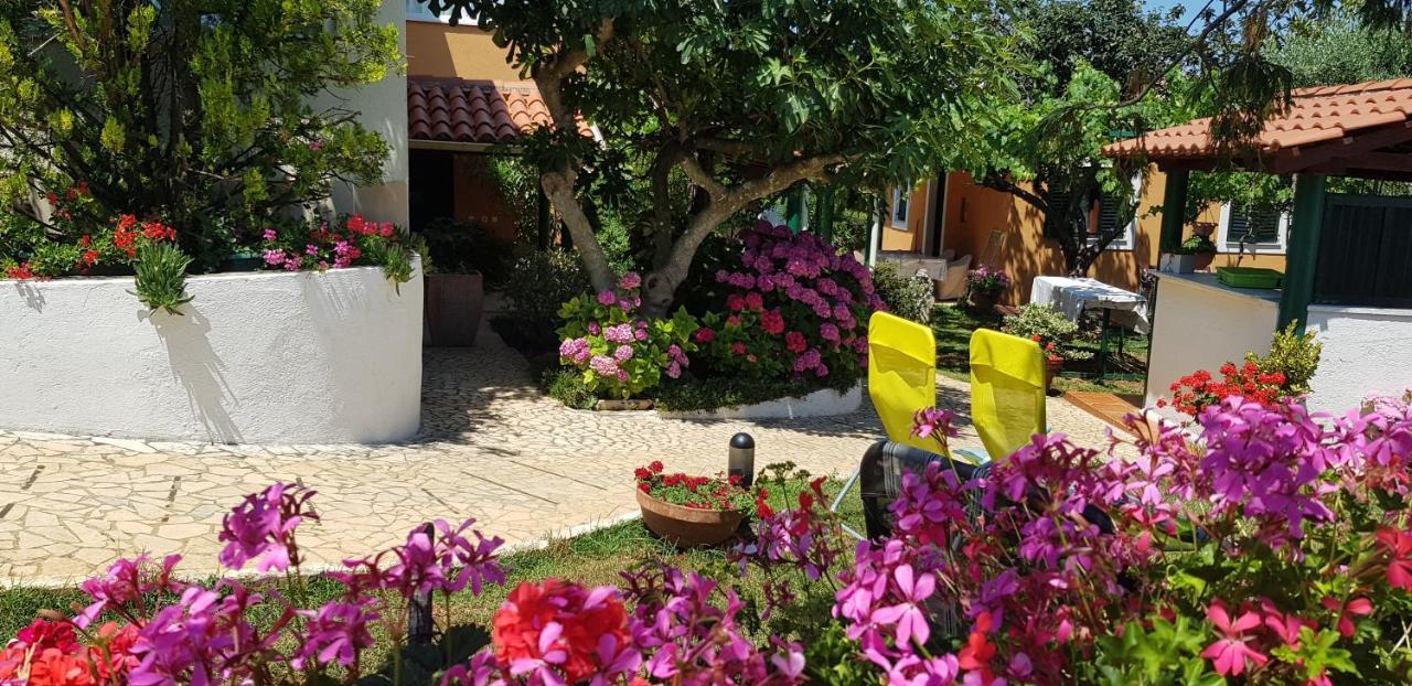 Guest House Bizjak 빈쿠란 외부 사진