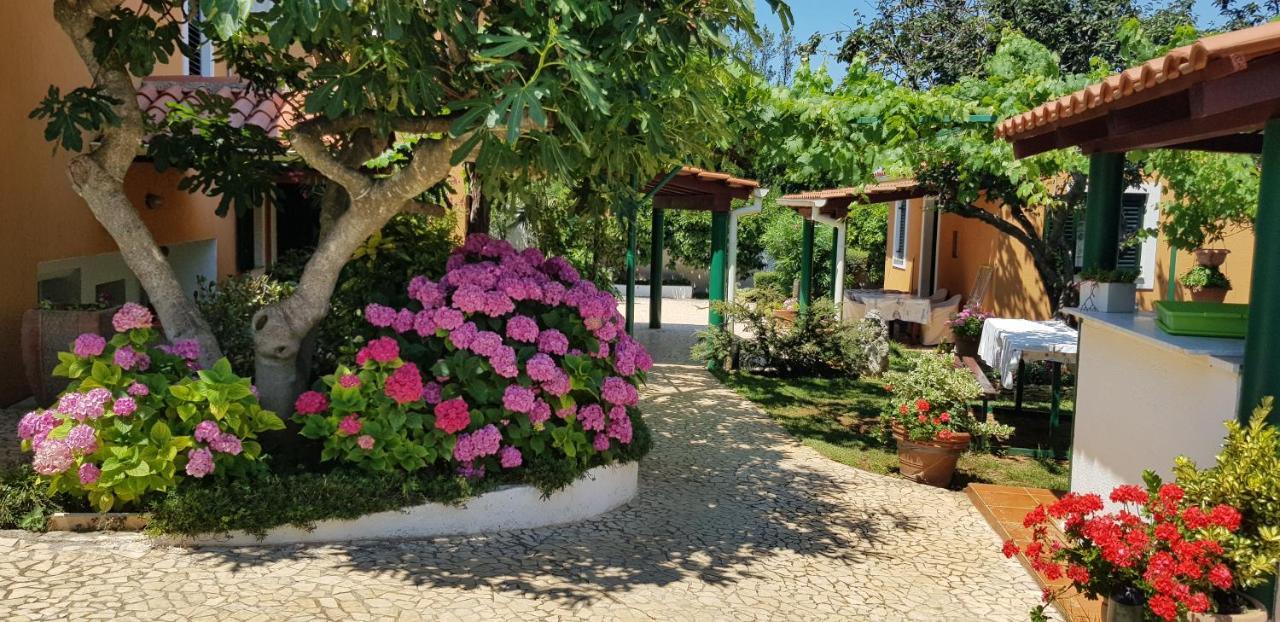 Guest House Bizjak 빈쿠란 외부 사진