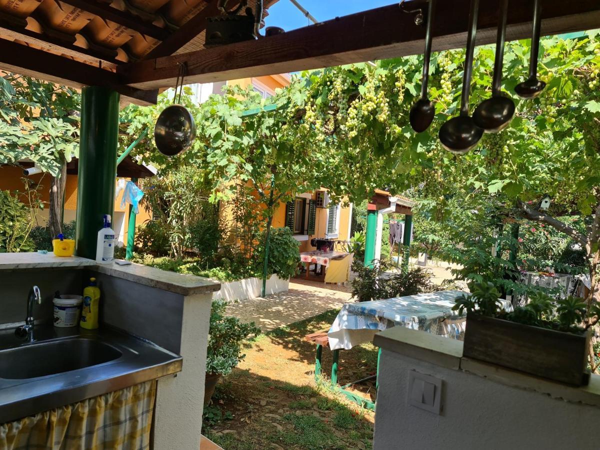 Guest House Bizjak 빈쿠란 외부 사진