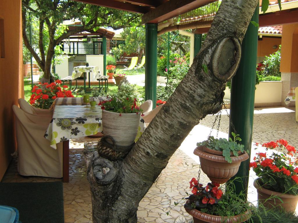 Guest House Bizjak 빈쿠란 외부 사진