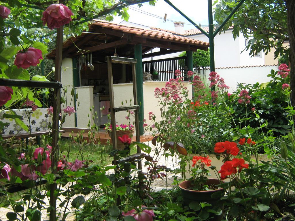 Guest House Bizjak 빈쿠란 외부 사진